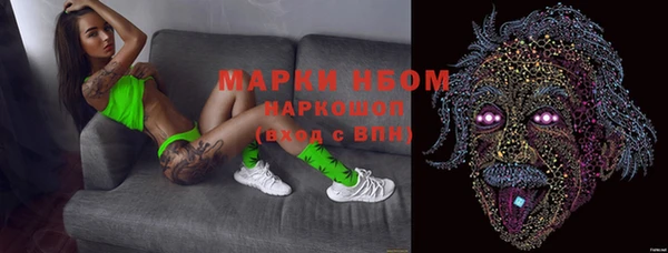 прущие крисы Ельня