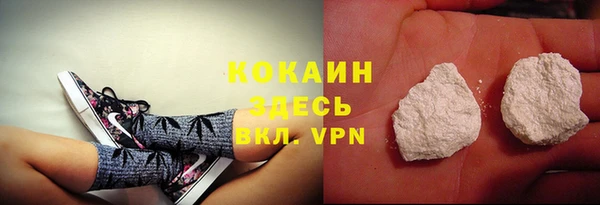 прущие крисы Ельня