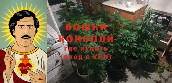 прущие крисы Ельня