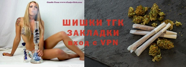 прущие крисы Ельня