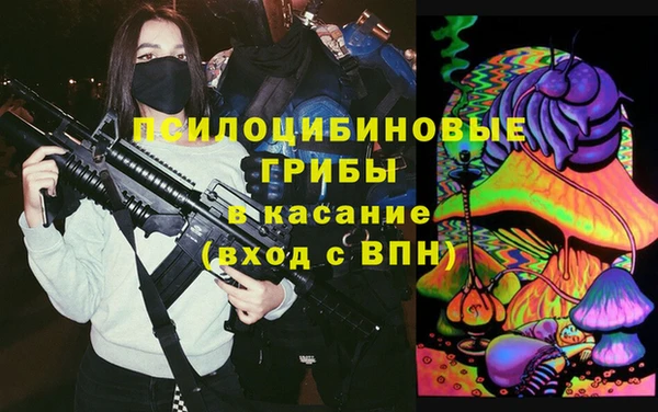 прущие крисы Ельня